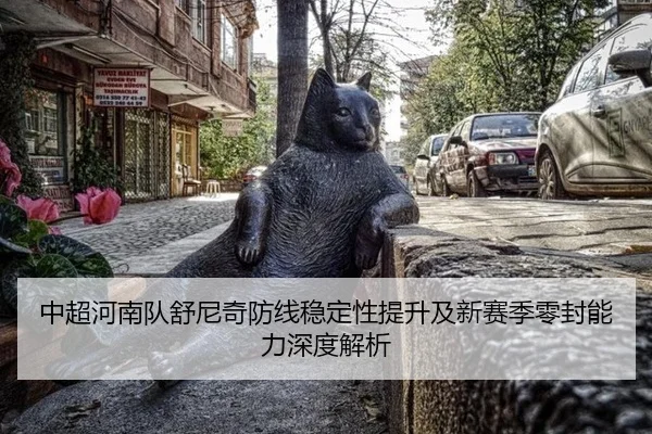 zhong-chao-he-nan-dui-shu-ni-qi-fang-xian-wen-ding-xing-ti-sheng-ji-xin-sai-ji-ling-feng-neng-li-shen-du-jie-xi-2-168.jpg